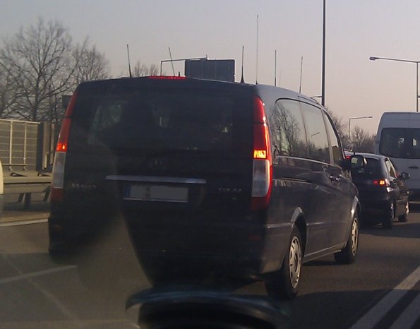 Spiky Sansha mobile sighted