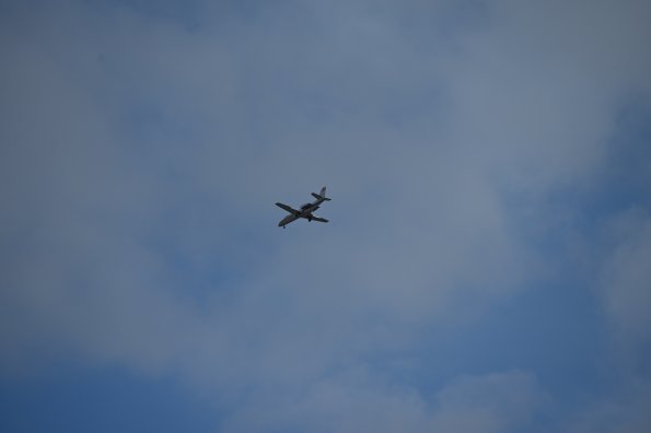 D-CYKP