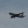OE-LBQ