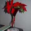 Weihnachtsstern