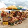 Dried Flowers Market